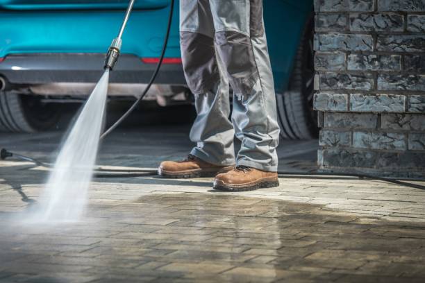 Best Driveway Pressure Washing  in Orida Gulf Coast University, FL